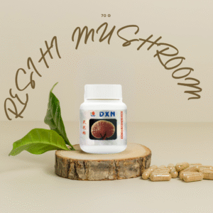 RESIHI MUSHROOM POWDER (70G) مسحوق الفطر الريشي